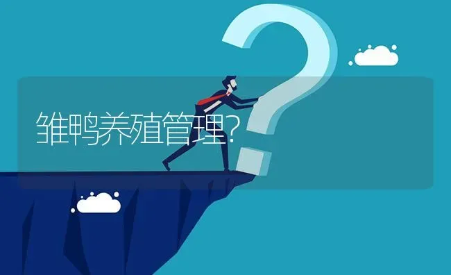 雏鸭养殖管理? | 养殖问题解答