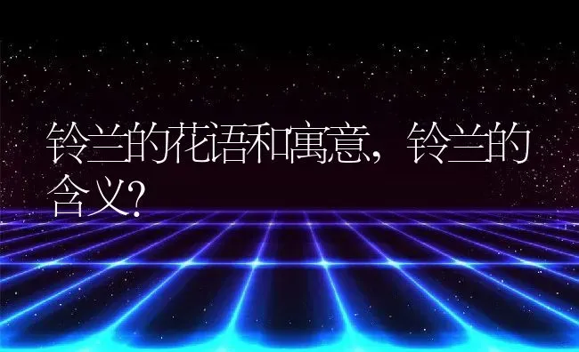 铃兰的花语和寓意,铃兰的含义？ | 养殖常见问题