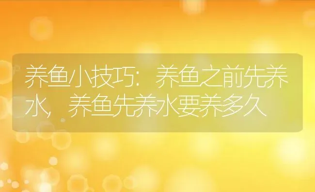 养鱼小技巧:养鱼之前先养水,养鱼先养水要养多久 | 养殖常见问题