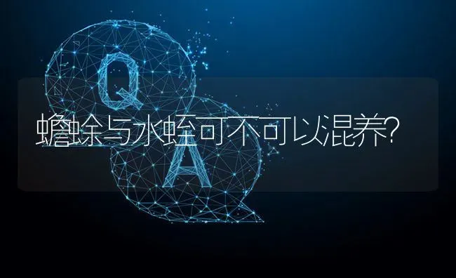 蟾蜍与水蛭可不可以混养? | 养殖问题解答