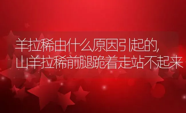 羊拉稀由什么原因引起的,山羊拉稀前腿跪着走站不起来 | 养殖常见问题