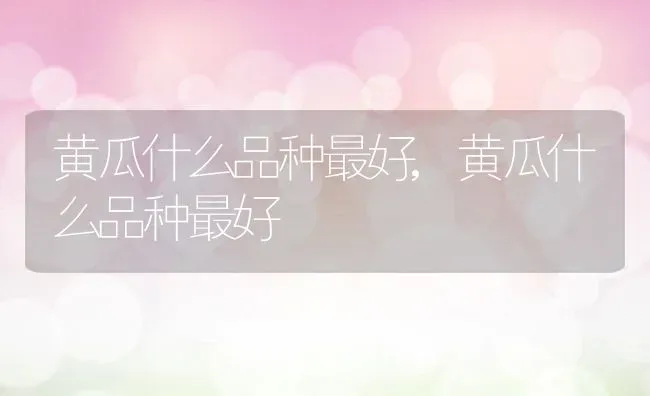 黄瓜什么品种最好,黄瓜什么品种最好 | 养殖常见问题