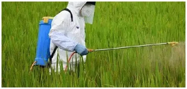 氟磺胺草醚药害怎么解 | 农业答疑