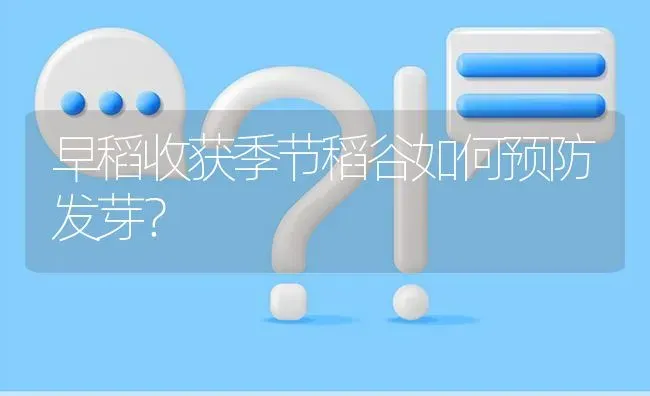 早稻收获季节稻谷如何预防发芽? | 养殖问题解答