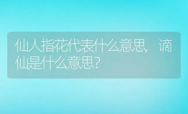 仙人指花代表什么意思,谪仙是什么意思？ | 养殖常见问题