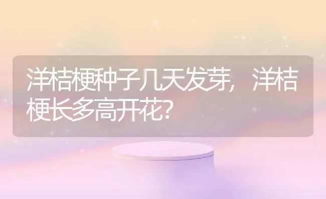 洋桔梗种子几天发芽,洋桔梗长多高开花？ | 养殖常见问题