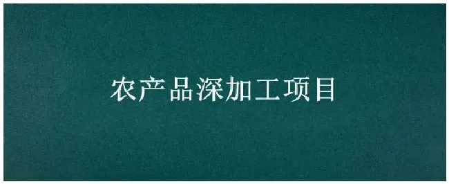 农产品深加工项目 | 三农问答