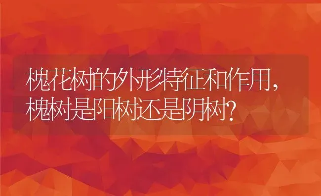 槐花树的外形特征和作用,槐树是阳树还是阴树？ | 养殖常见问题