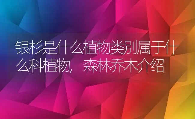 银杉是什么植物类别属于什么科植物,森林乔木介绍 | 养殖常见问题