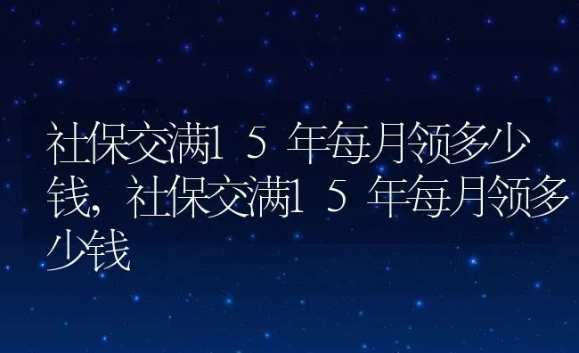 社保交满15年每月领多少钱,社保交满15年每月领多少钱 | 养殖常见问题