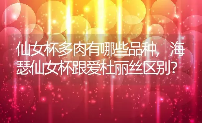 仙女杯多肉有哪些品种,海瑟仙女杯跟爱杜丽丝区别？ | 养殖常见问题