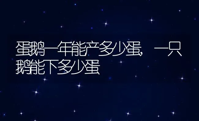 蛋鹅一年能产多少蛋,一只鹅能下多少蛋 | 养殖常见问题