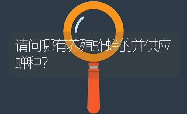 请问哪有养殖蚱蝉的并供应蝉种? | 养殖问题解答