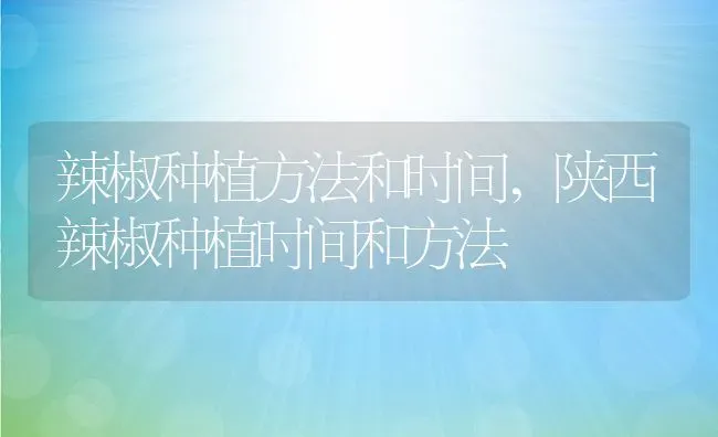 辣椒种植方法和时间,陕西辣椒种植时间和方法 | 养殖常见问题