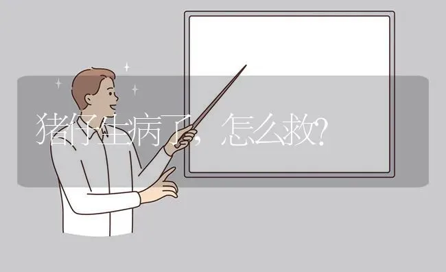 猪仔生病了,怎么救? | 养殖问题解答