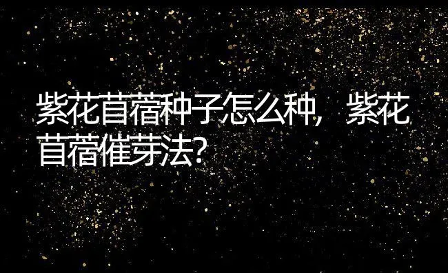 紫花苜蓿种子怎么种,紫花苜蓿催芽法？ | 养殖常见问题