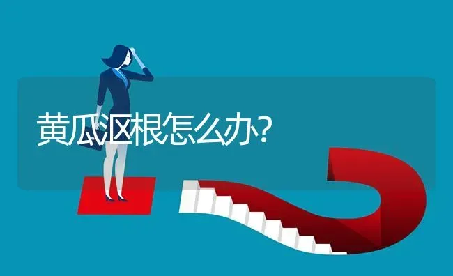 黄瓜沤根怎么办? | 养殖问题解答