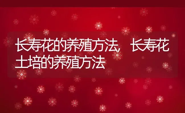 长寿花的养殖方法,长寿花土培的养殖方法 | 养殖常见问题