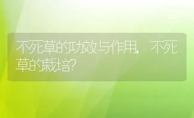 不死草的功效与作用,不死草的栽培？ | 养殖常见问题