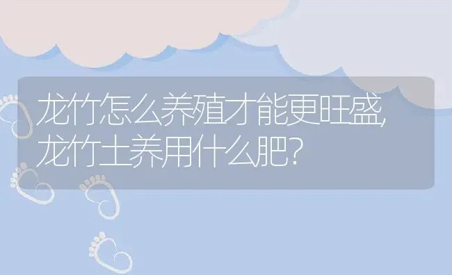 龙竹怎么养殖才能更旺盛,龙竹土养用什么肥？ | 养殖常见问题