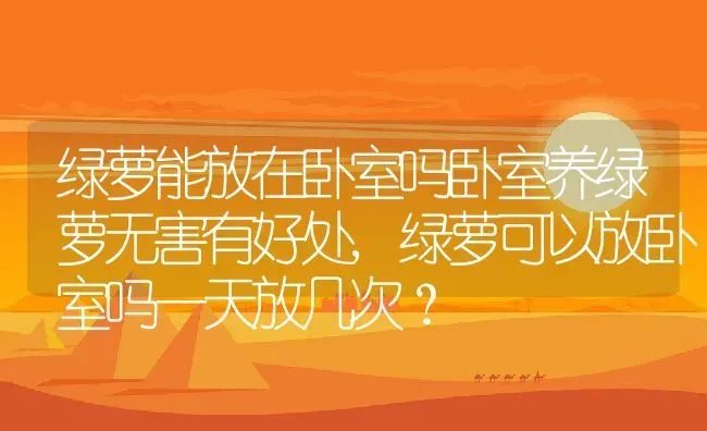 绿萝能放在卧室吗卧室养绿萝无害有好处,绿萝可以放卧室吗一天放几次？ | 养殖常见问题