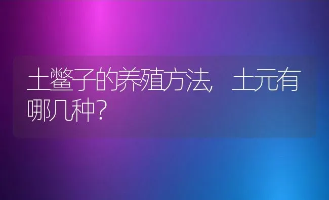 土鳖子的养殖方法,土元有哪几种？ | 养殖常见问题