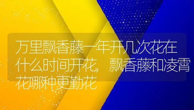 万里飘香藤一年开几次花在什么时间开花,飘香藤和凌霄花哪种更勤花 | 养殖常见问题