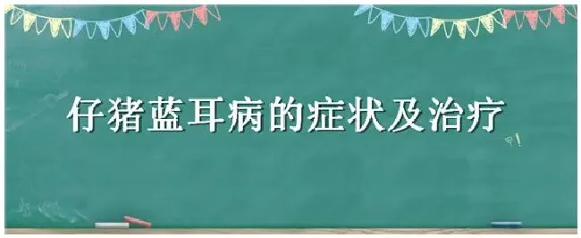 仔猪蓝耳病的症状及治疗 | 三农问答