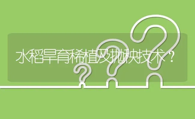 水稻旱育稀植及抛秧技术? | 养殖问题解答