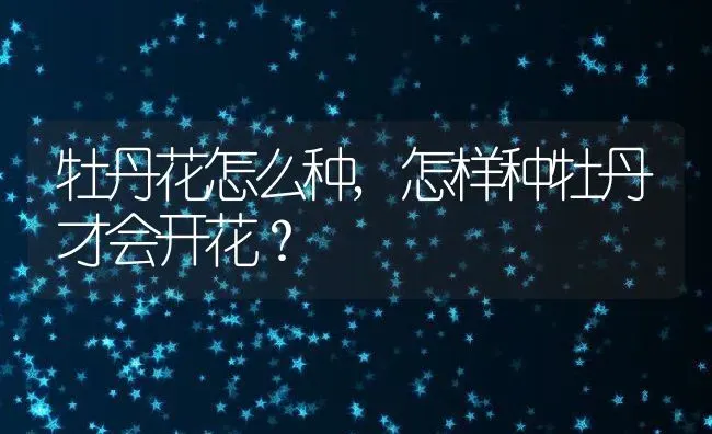 牡丹花怎么种,怎样种牡丹才会开花？ | 养殖常见问题