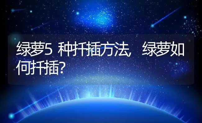 绿萝5种扦插方法,绿萝如何扦插？ | 养殖常见问题