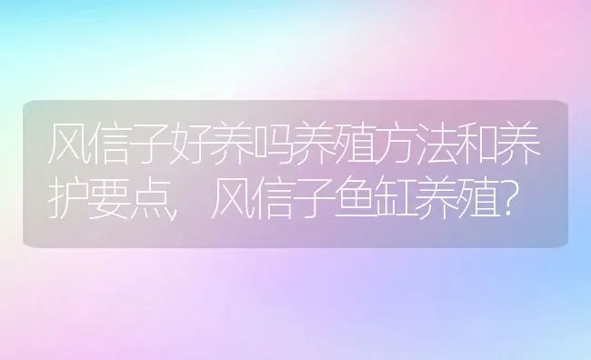 风信子好养吗养殖方法和养护要点,风信子鱼缸养殖？ | 养殖常见问题