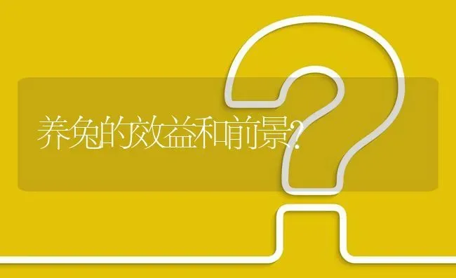 养兔的效益和前景? | 养殖问题解答