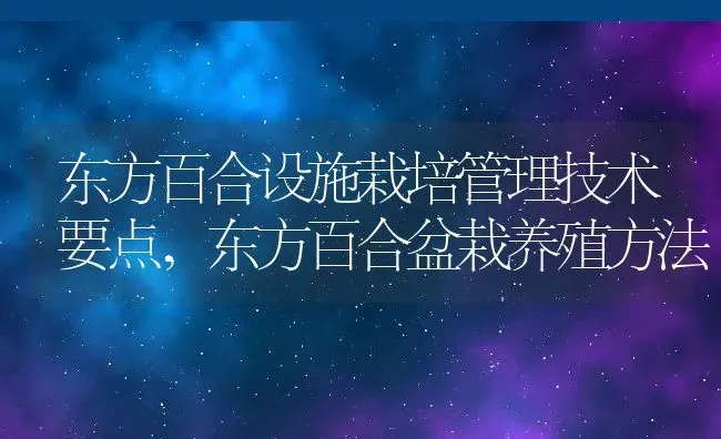 东方百合设施栽培管理技术要点,东方百合盆栽养殖方法 | 养殖常见问题