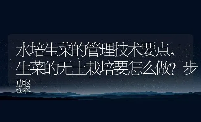 水培生菜的管理技术要点,生菜的无土栽培要怎么做？步骤 | 养殖常见问题