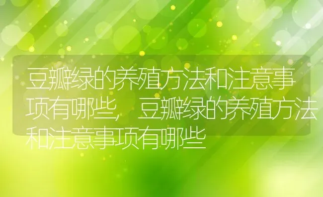 豆瓣绿的养殖方法和注意事项有哪些,豆瓣绿的养殖方法和注意事项有哪些 | 养殖常见问题