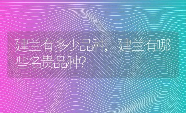 建兰有多少品种,建兰有哪些名贵品种? | 养殖常见问题
