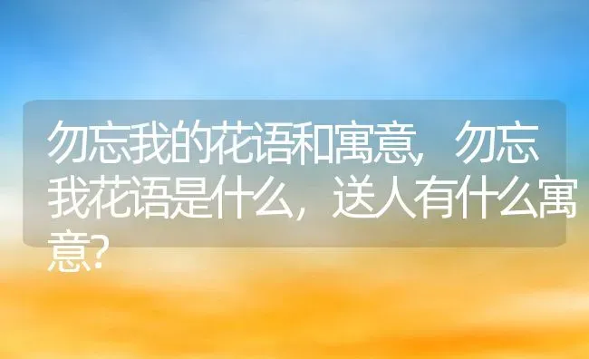 勿忘我的花语和寓意,勿忘我花语是什么，送人有什么寓意？ | 养殖常见问题