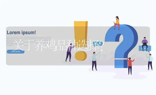 关于养鸡品种选择? | 养殖问题解答