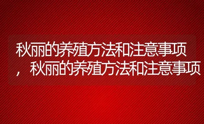 秋丽的养殖方法和注意事项,秋丽的养殖方法和注意事项 | 养殖常见问题