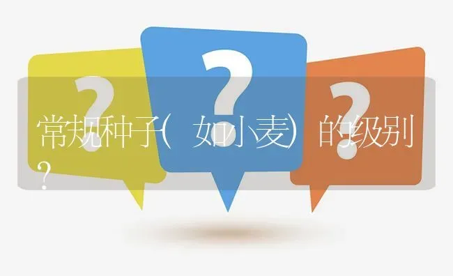 常规种子(如小麦)的级别? | 养殖问题解答