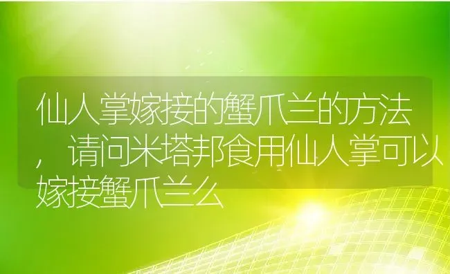 仙人掌嫁接的蟹爪兰的方法,请问米塔邦食用仙人掌可以嫁接蟹爪兰么 | 养殖常见问题