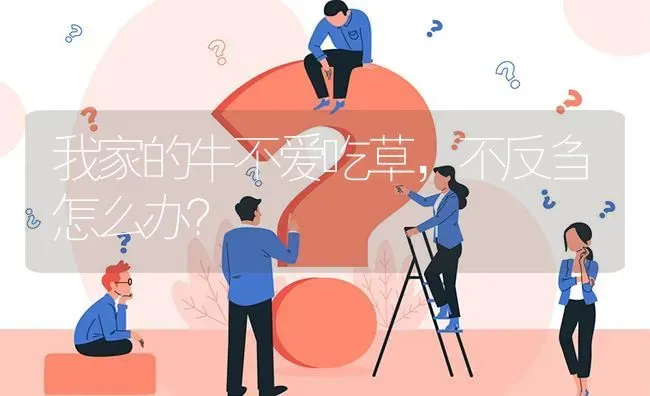 我家的牛不爱吃草,不反刍怎么办? | 养殖问题解答