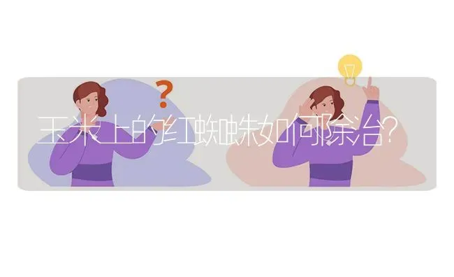 玉米上的红蜘蛛如何除治? | 养殖问题解答