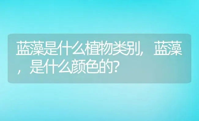 蓝藻是什么植物类别,蓝藻，是什么颜色的？ | 养殖常见问题