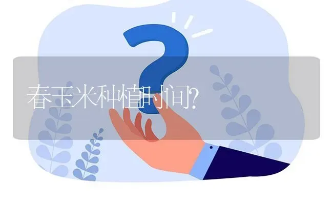 春玉米种植时间? | 养殖问题解答