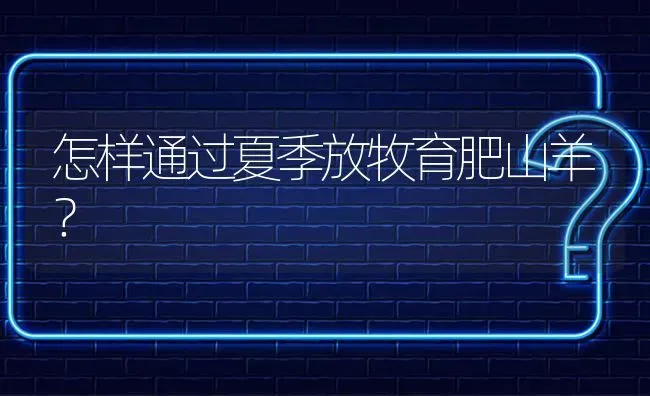 精养塘的水草很脏怎么办? | 养殖问题解答
