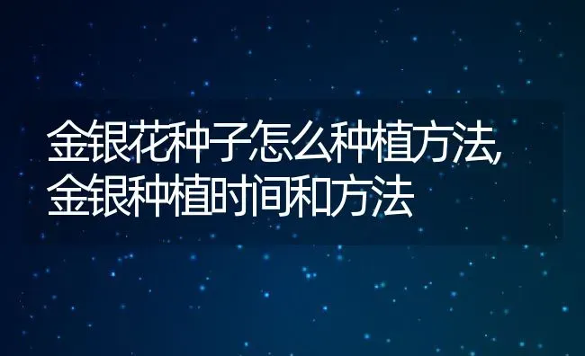 金银花种子怎么种植方法,金银种植时间和方法 | 养殖常见问题