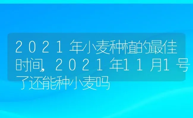 2021年小麦种植的最佳时间,2021年11月1号了还能种小麦吗 | 养殖常见问题