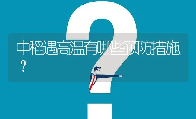 中稻遇高温有哪些预防措施? | 养殖问题解答